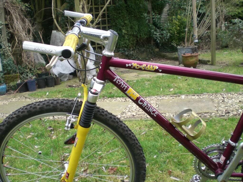 brandscortinacatsgrandbornandbikes112.jpg