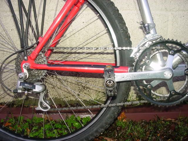 DSC03131.jpg