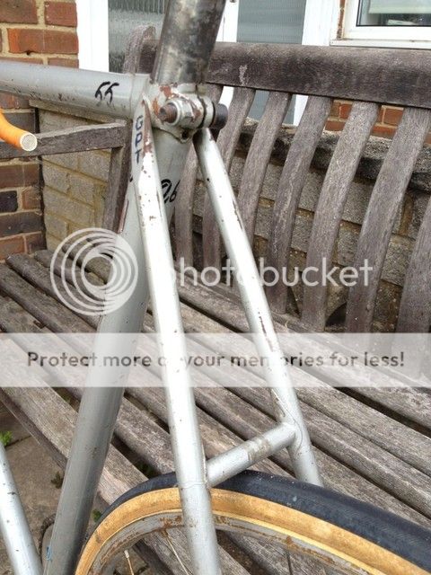 photo118.jpg