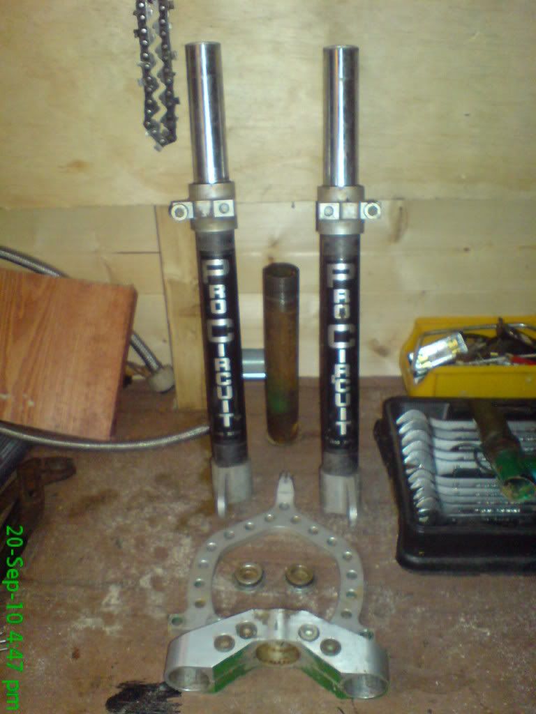 DSC00004.jpg