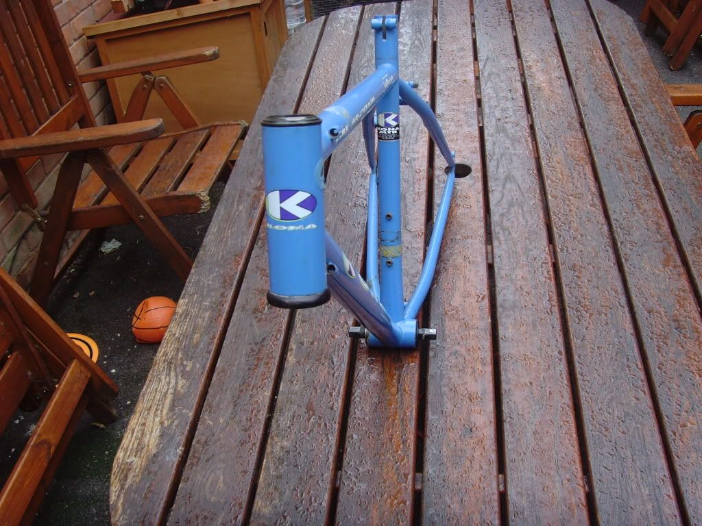 SNV34374.jpg