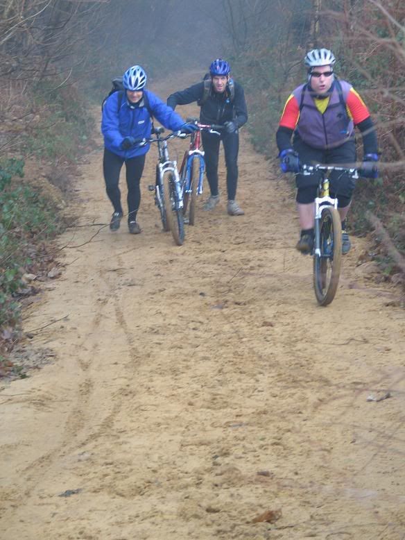 xmasride7.jpg
