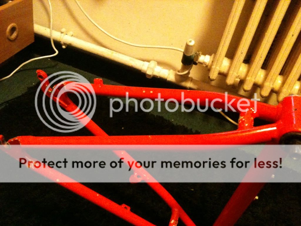 Picture006-5.jpg