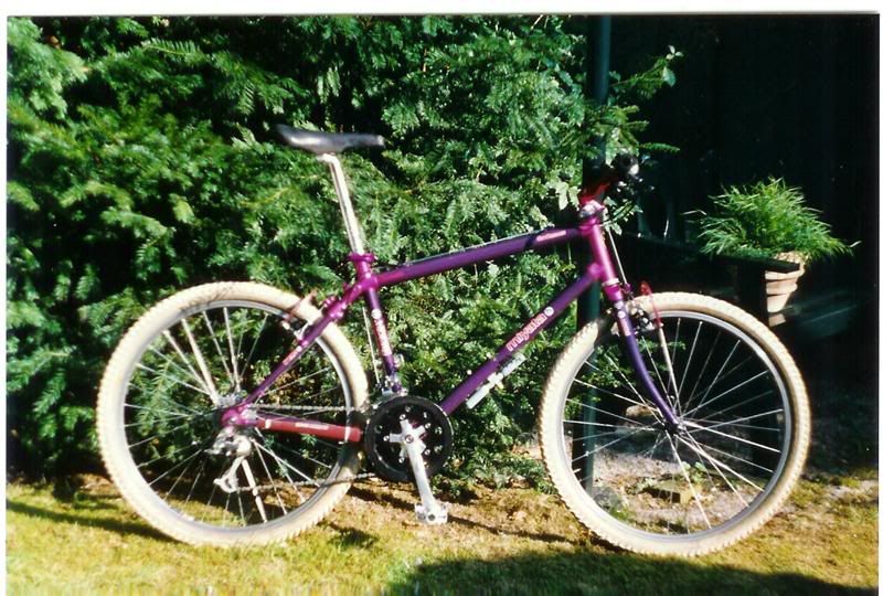 KogaSRC4800.jpg