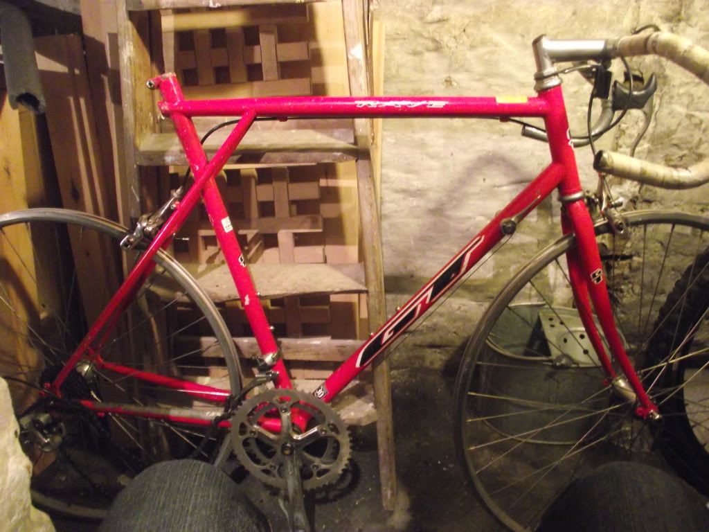 DSCF0679.jpg