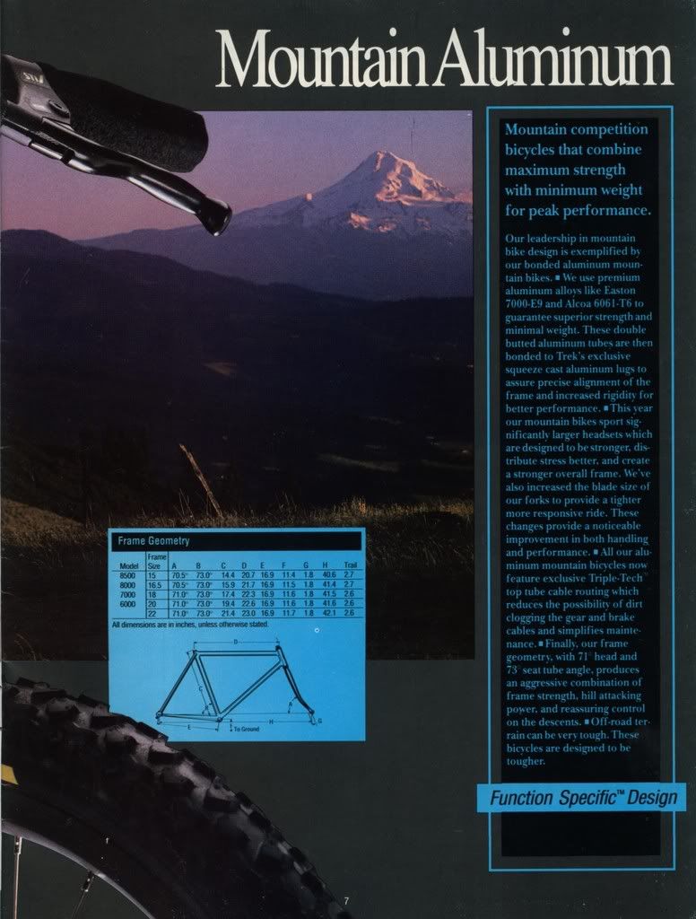 page6.jpg