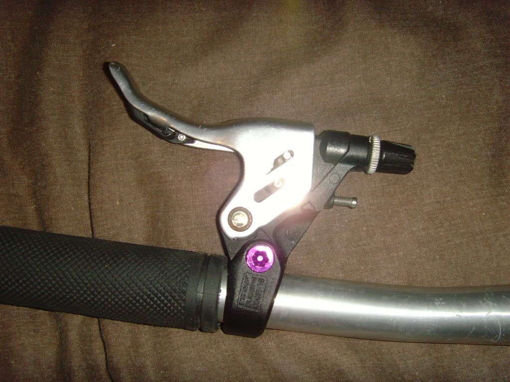 SNV34268.jpg