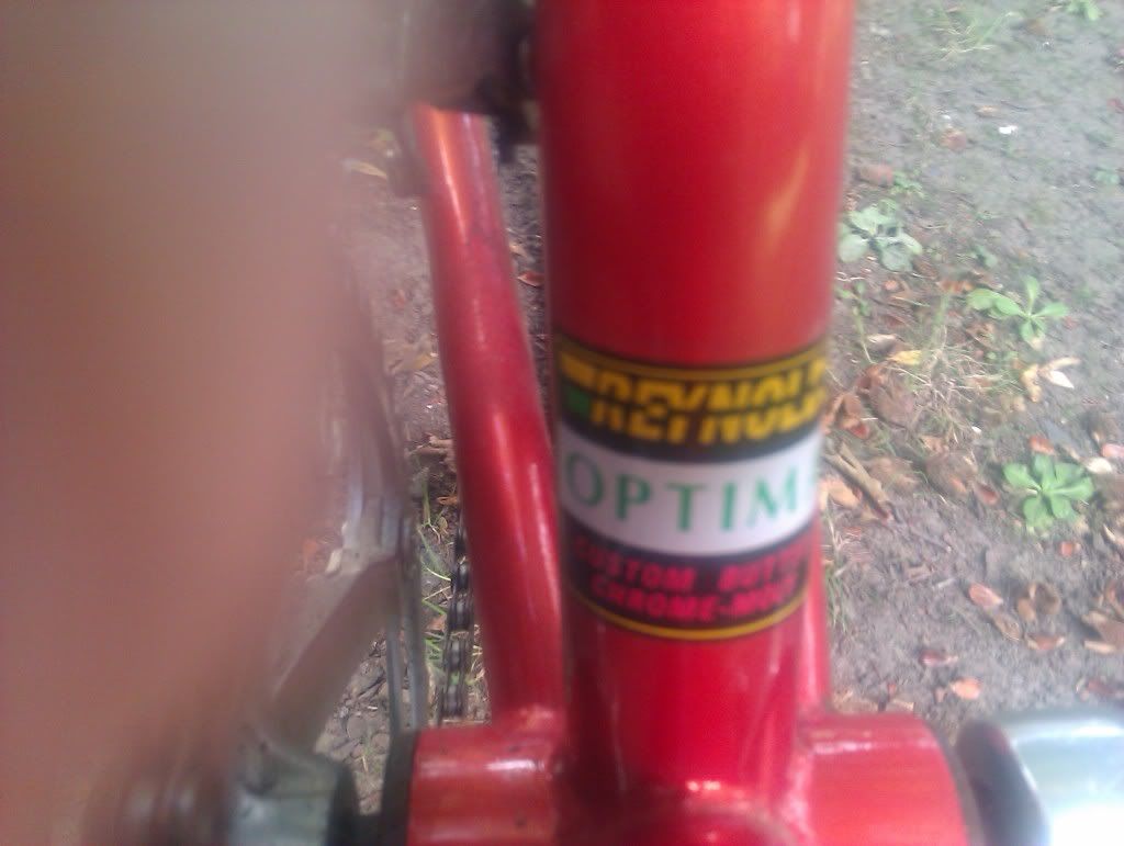 IMAG0196.jpg
