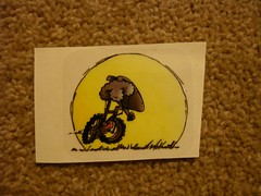 4523646805_6ccf1984ed_m.jpg