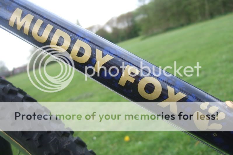 bikefox2009008.jpg