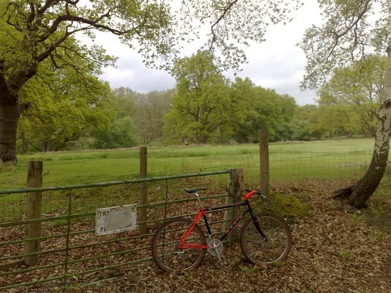 07052009328Medium.jpg