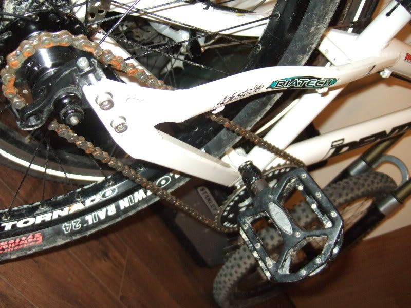 DSCF4805.jpg