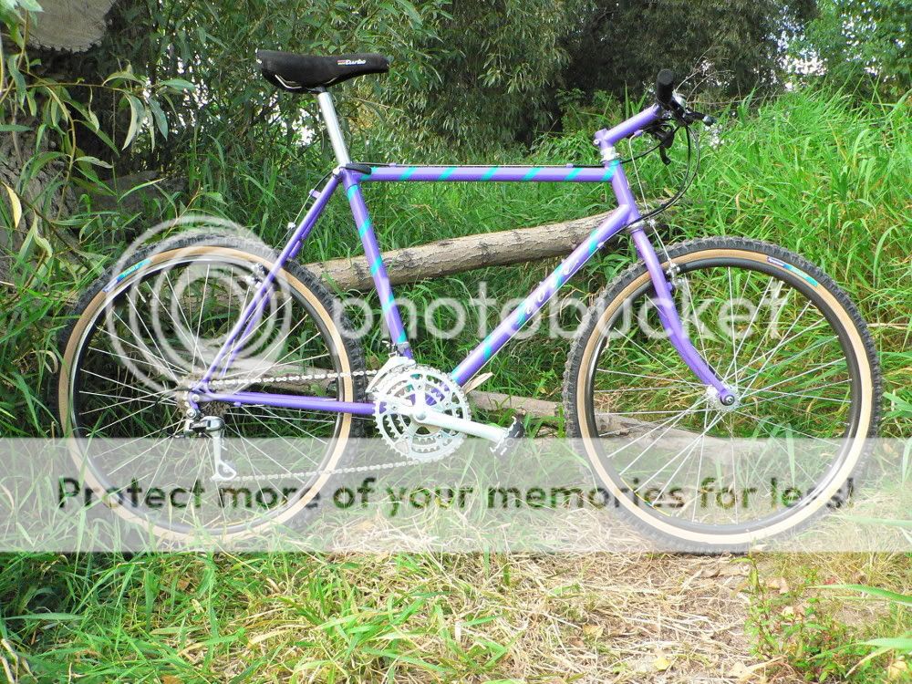 ibis1988cano52101.jpg