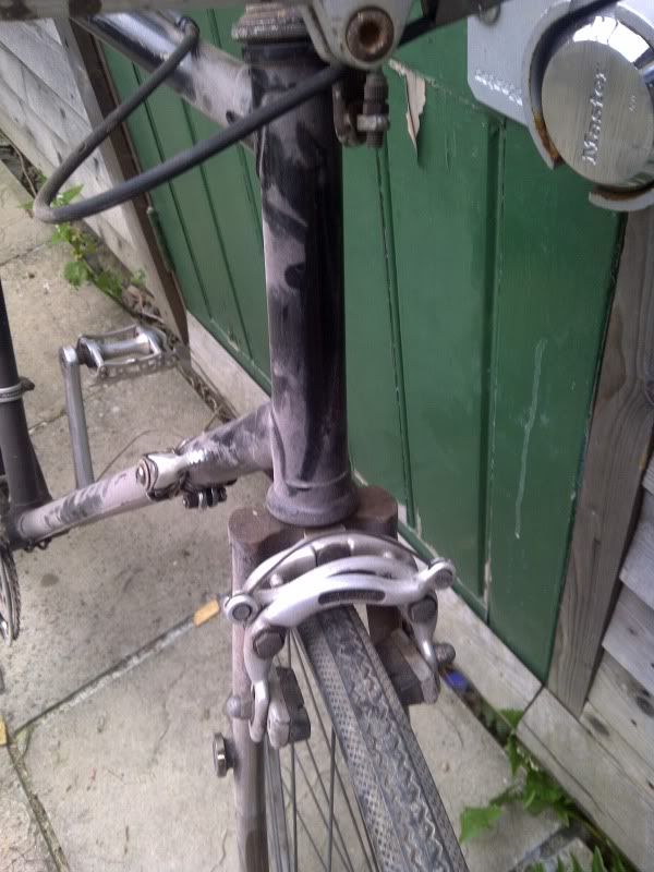 IMG-20120529-00472.jpg