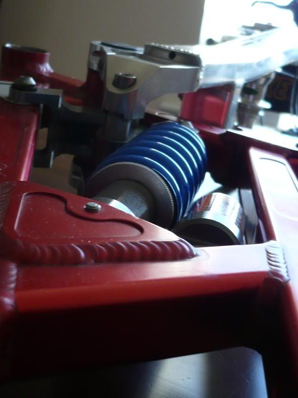 P1010164.jpg