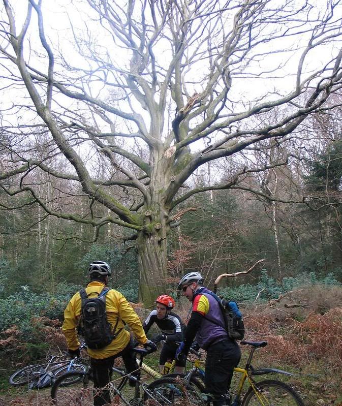 xmasride13-2.jpg