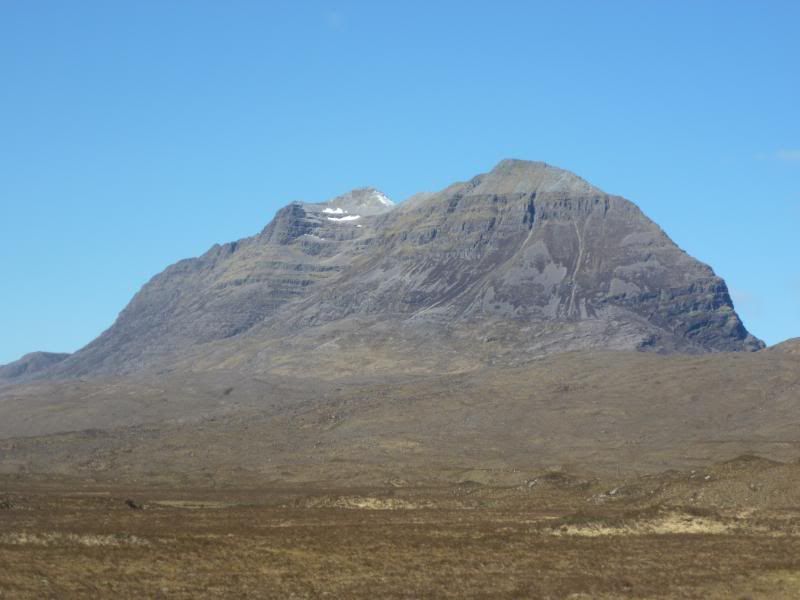 P1000950.jpg