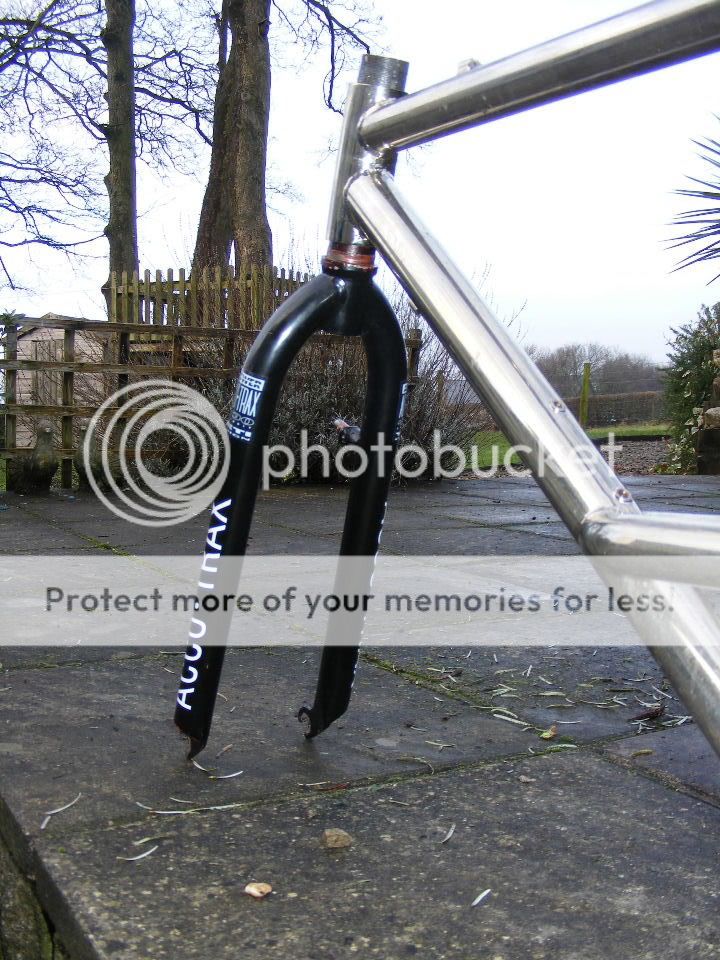 2010_0118saver0021.jpg