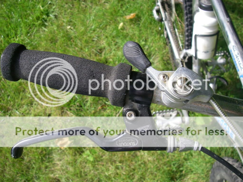 IMGP1156.jpg