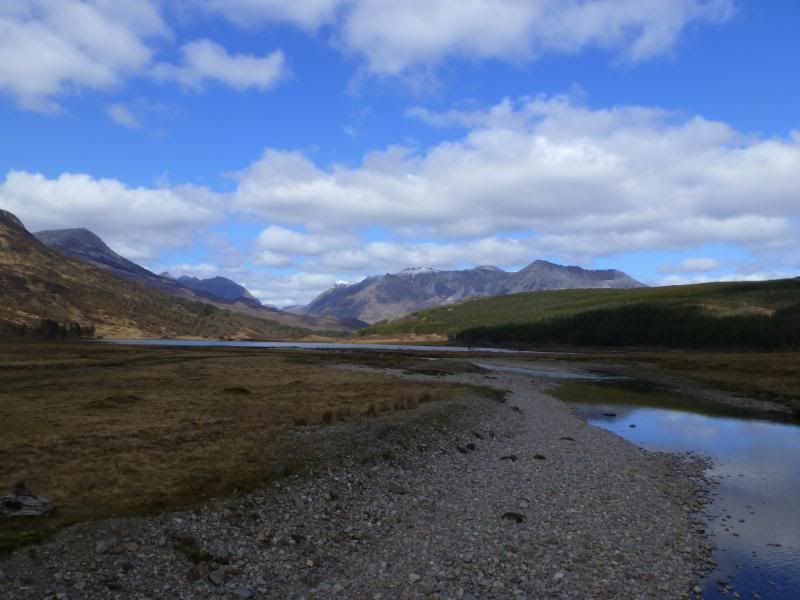 P1000916.jpg