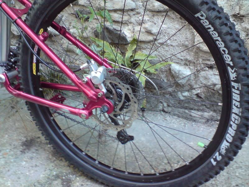 DSC00776.jpg