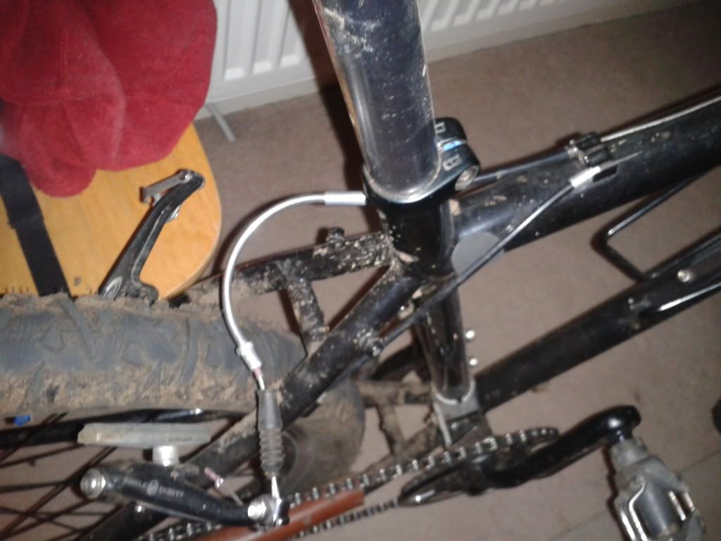2012-11-18195537.jpg