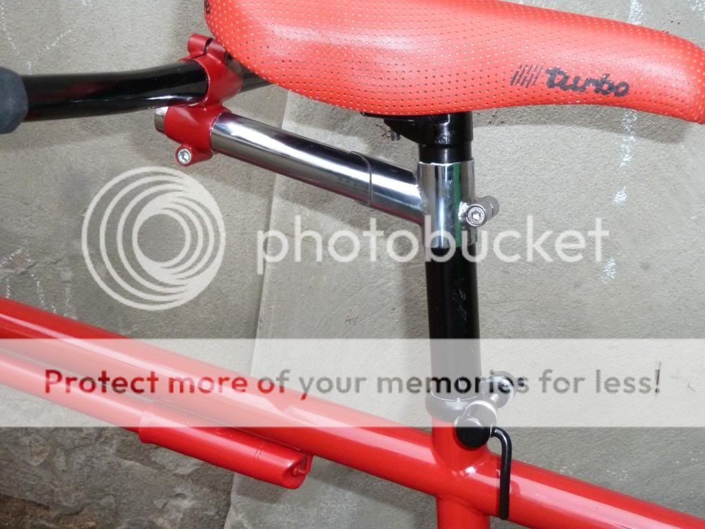 P1030888_zps10beffbe.jpg