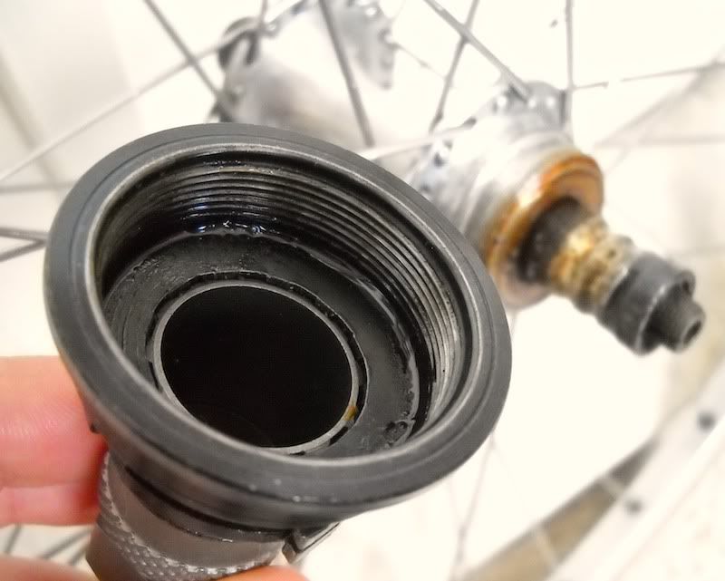 Backwheel07.jpg