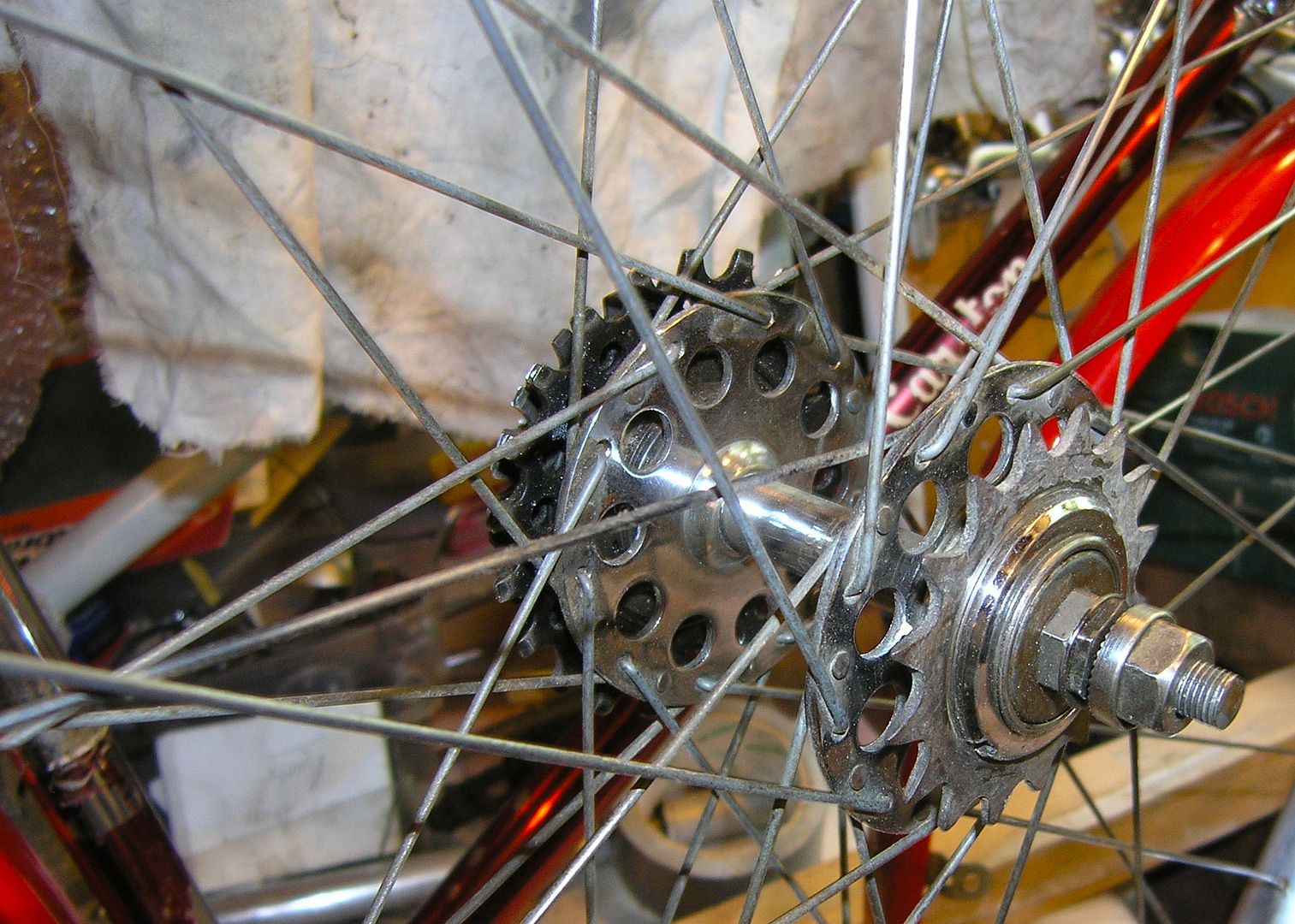 P7050138_zpsb78f333d.jpg
