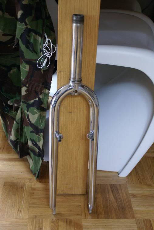 NishikiACXRear.jpg