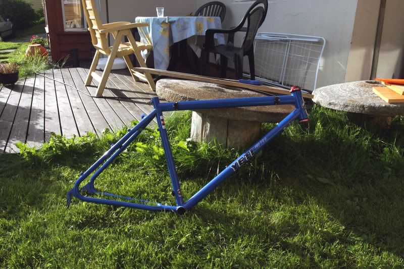 martinprofro95ws.jpg