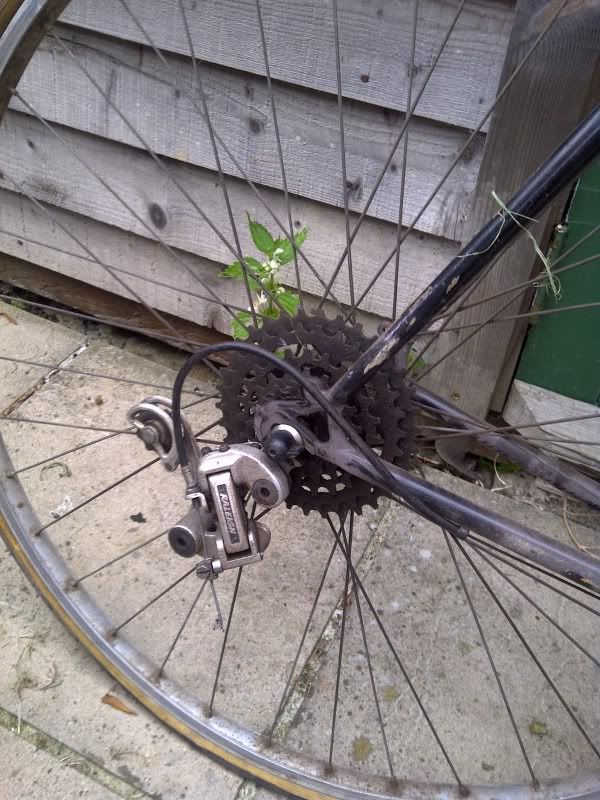 IMG-20120529-00473.jpg