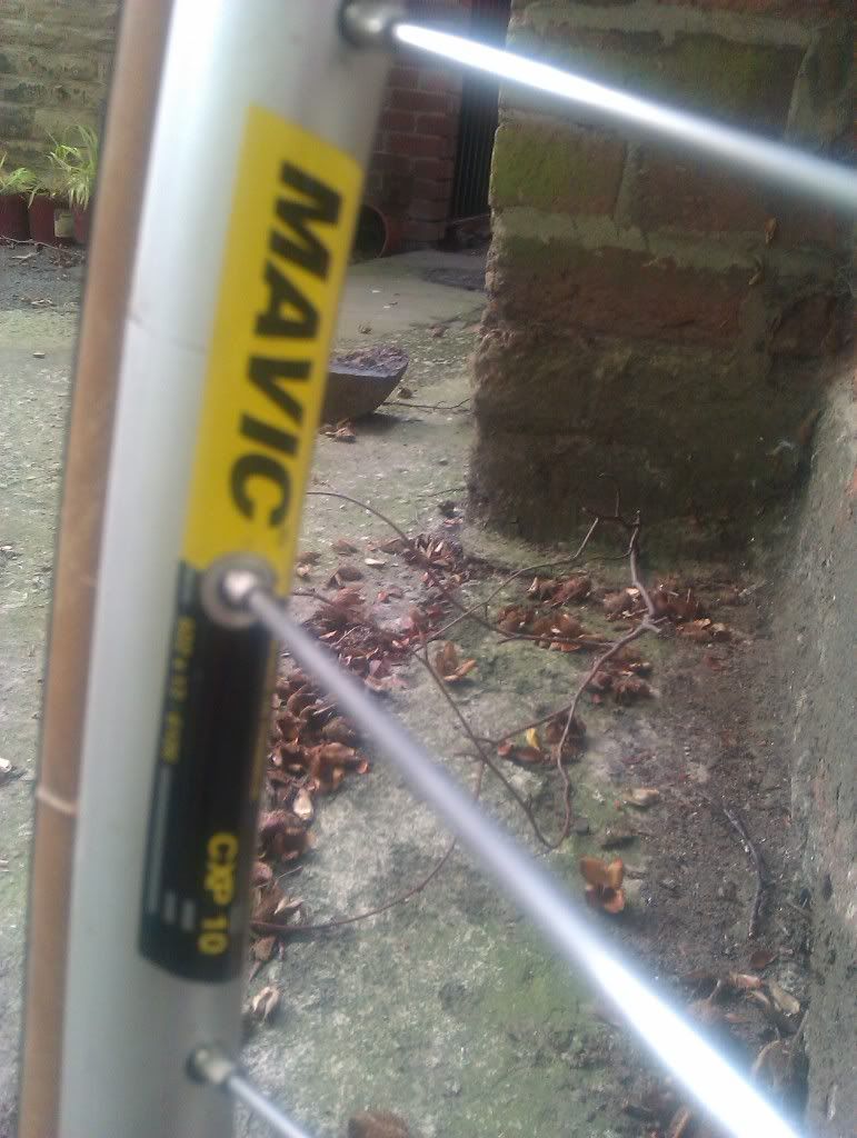 IMAG0199.jpg