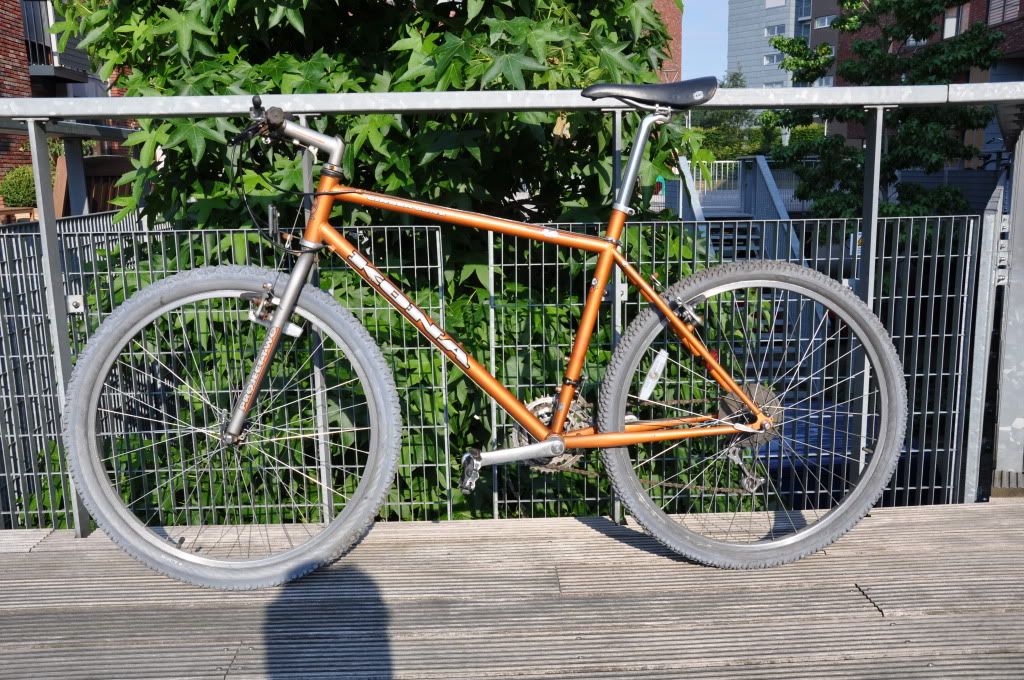 DSC_0116.jpg