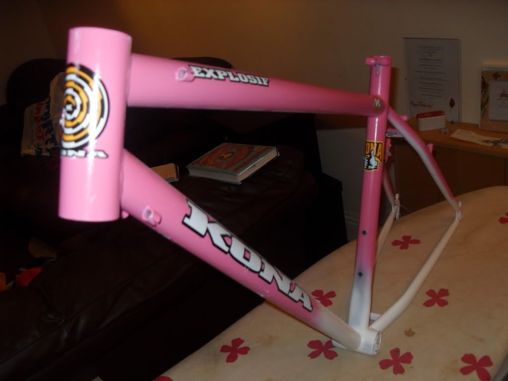 konapicture2010007-1.jpg
