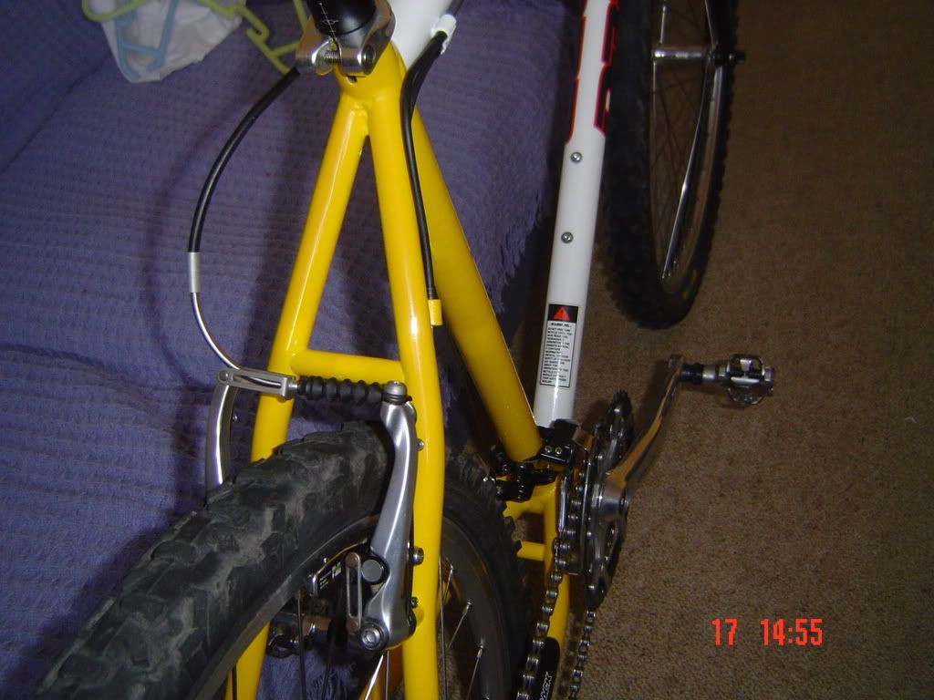 DSC01763.jpg