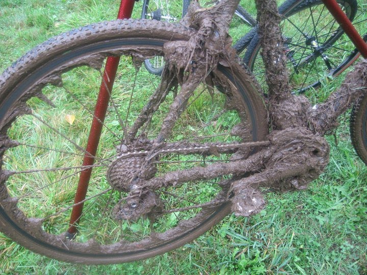 stupid+mud.jpg