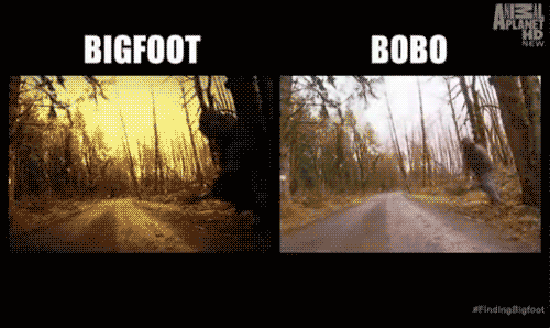 tumblr_lns9e4OPUK1qaarijo1_500.gif