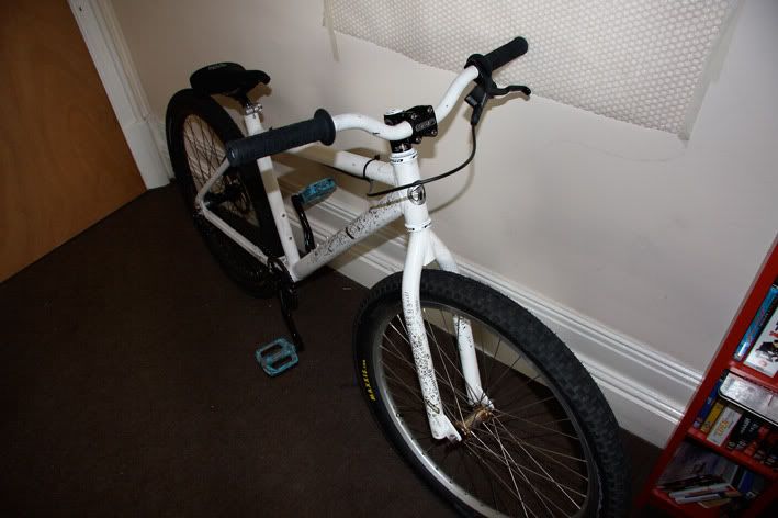 bike2.jpg