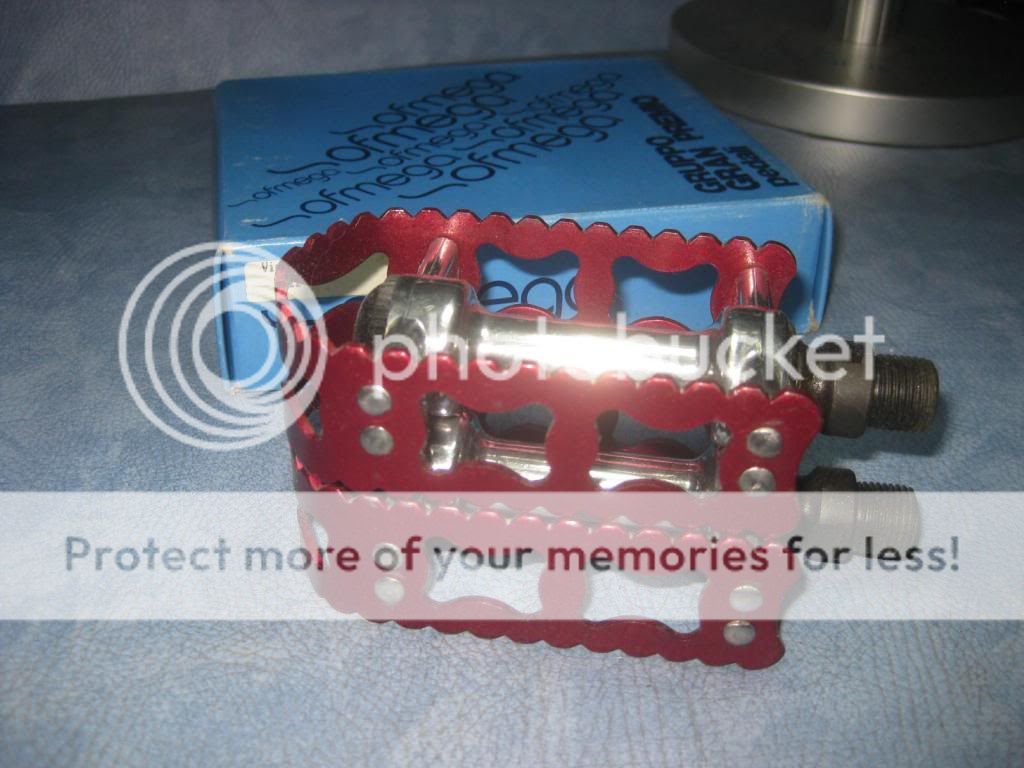 Picture174_zps8fcf1177.jpg