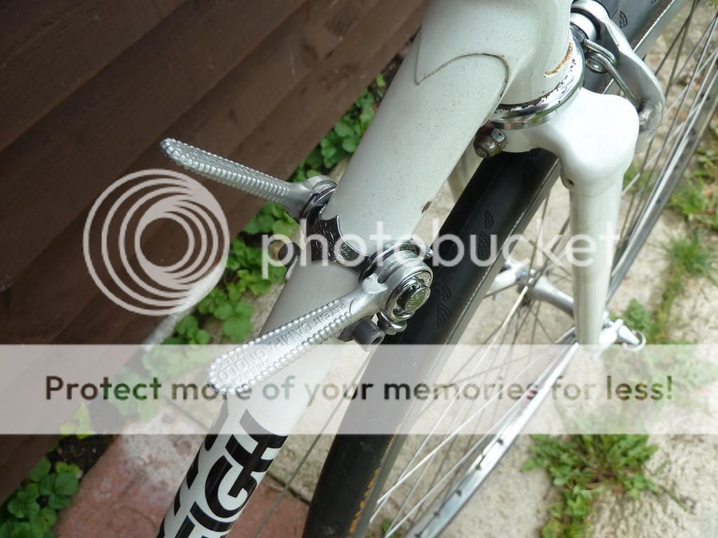 raleigh011.jpg