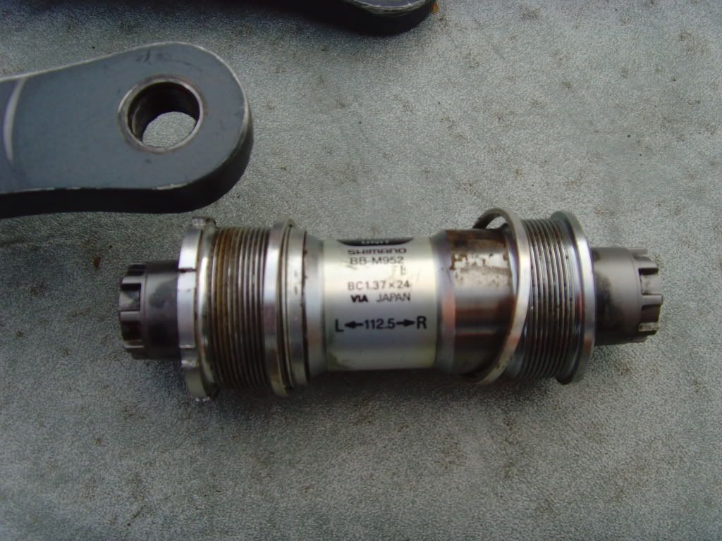 SNV36265.jpg