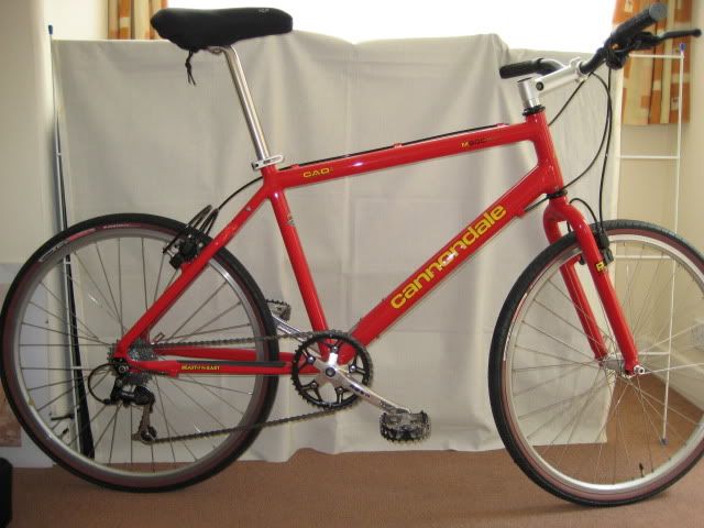 Bike.jpg