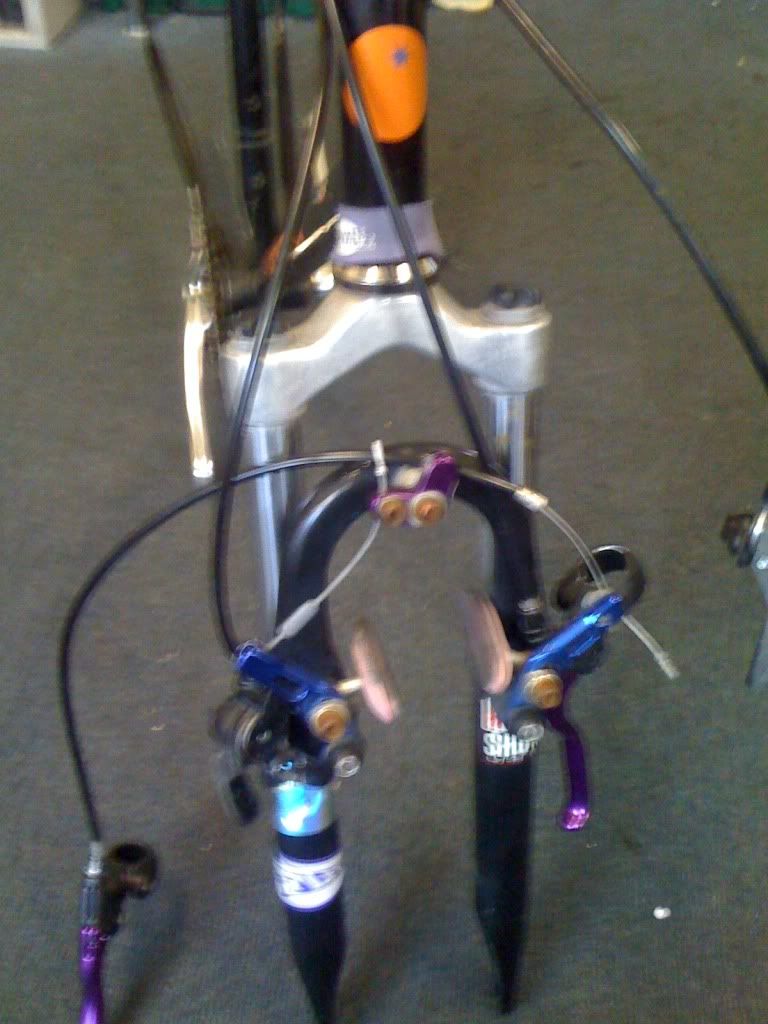 Picture002.jpg