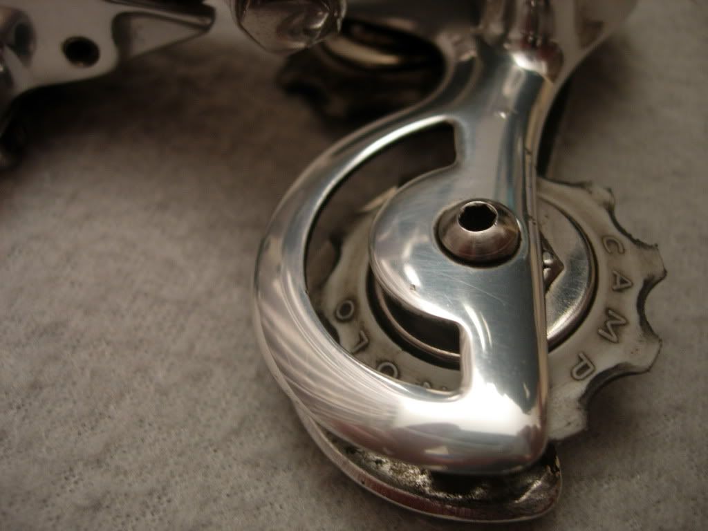 DSCN6517.jpg