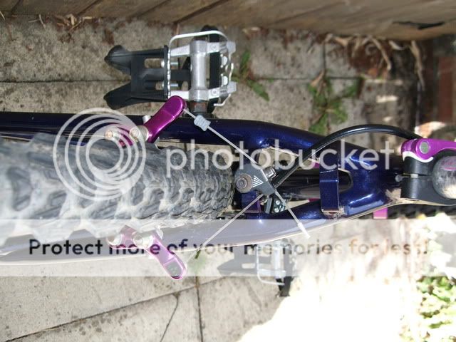 DSCF7261.jpg