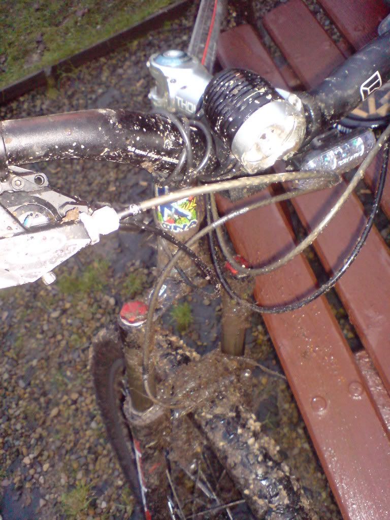 DSC01799.jpg