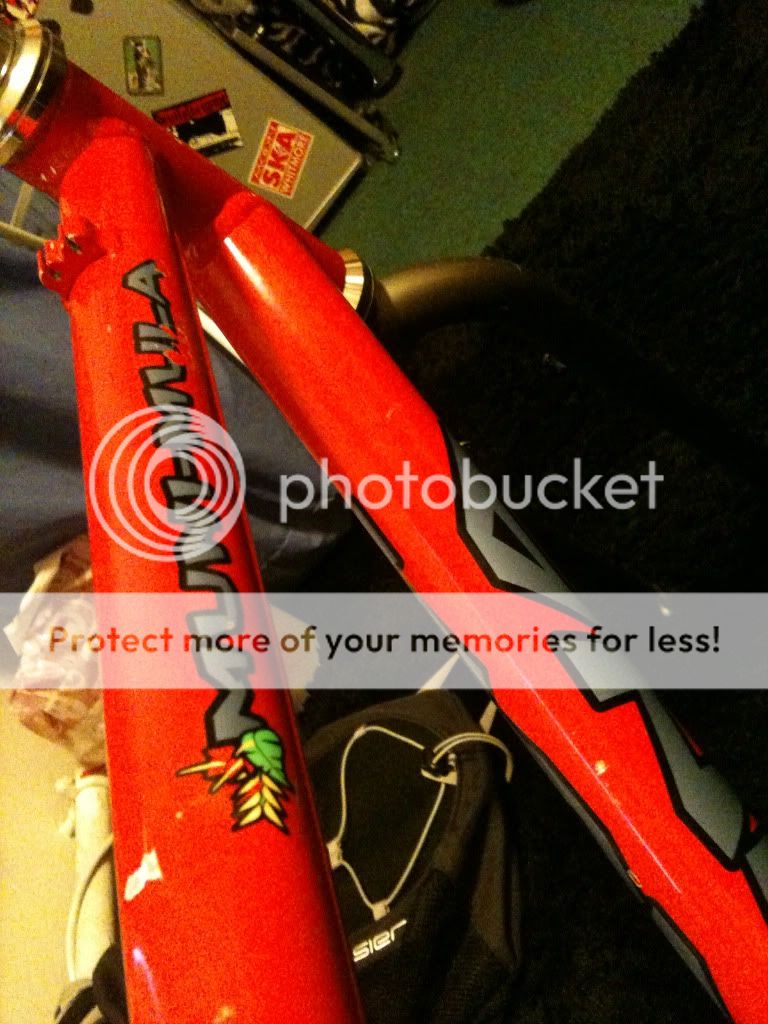 Picture003-6.jpg