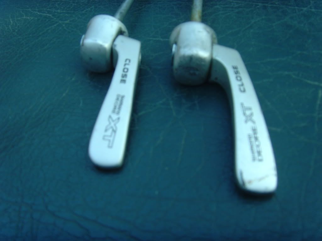 SNV33981.jpg