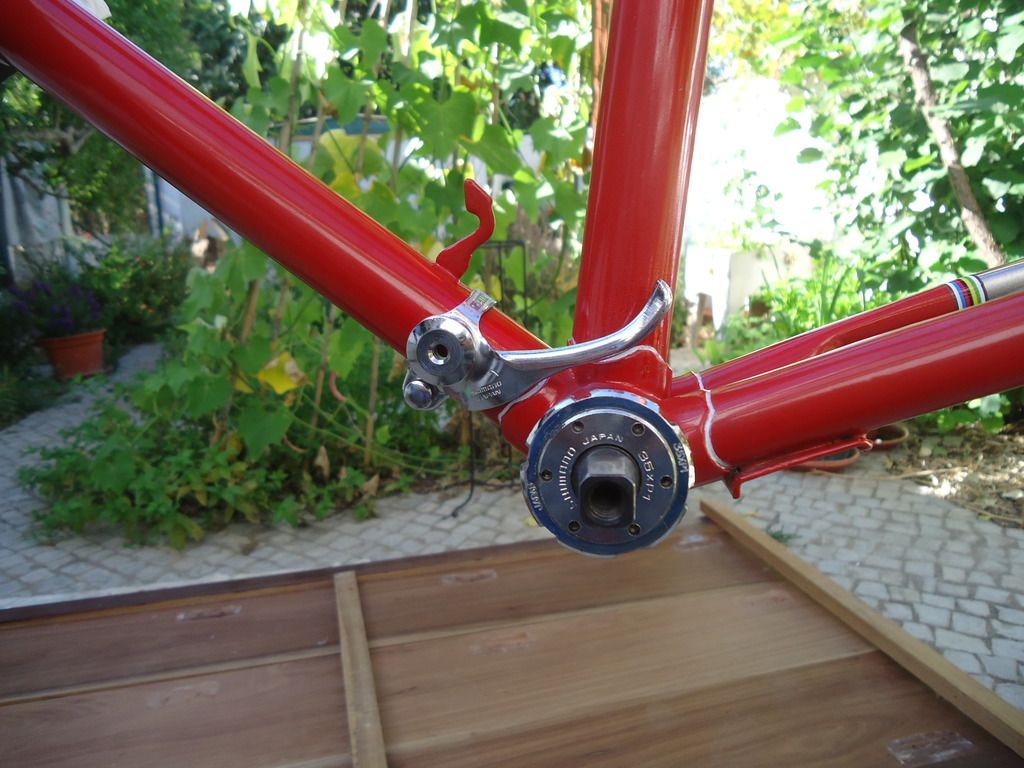 DSC04529.jpg